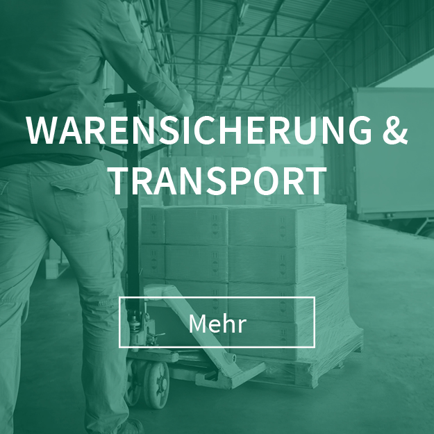 Warensicherung & Transport Packaging IGEPA